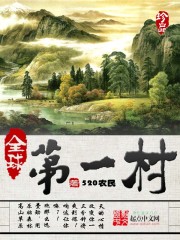 全球第一村小说阅读
