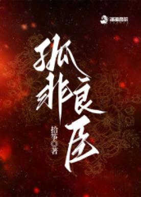 孤非良臣小说阅读
