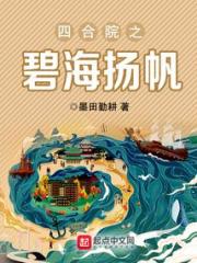 四合院之碧海扬帆小说阅读