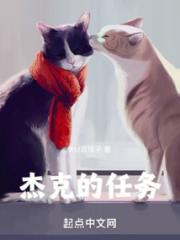 杰克的任务小说阅读