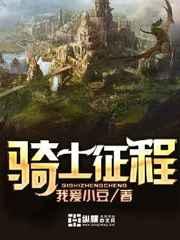 骑士征程小说阅读