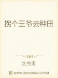 拐个王爷去种田小说阅读