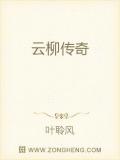 云柳传奇小说阅读