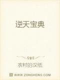 逆天宝典小说阅读