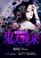 阴气撩人：鬼夫夜来小说阅读