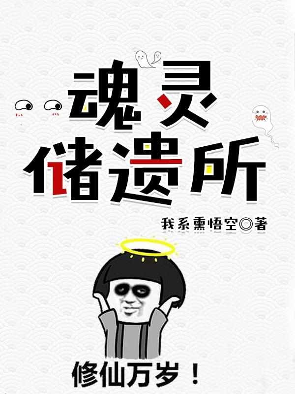 魂灵遗储所小说阅读