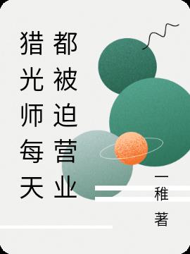 猎光师每天都被迫营业小说阅读