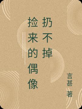 捡来的偶像扔不掉小说阅读