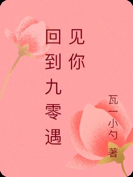 回到九零遇见你小说阅读