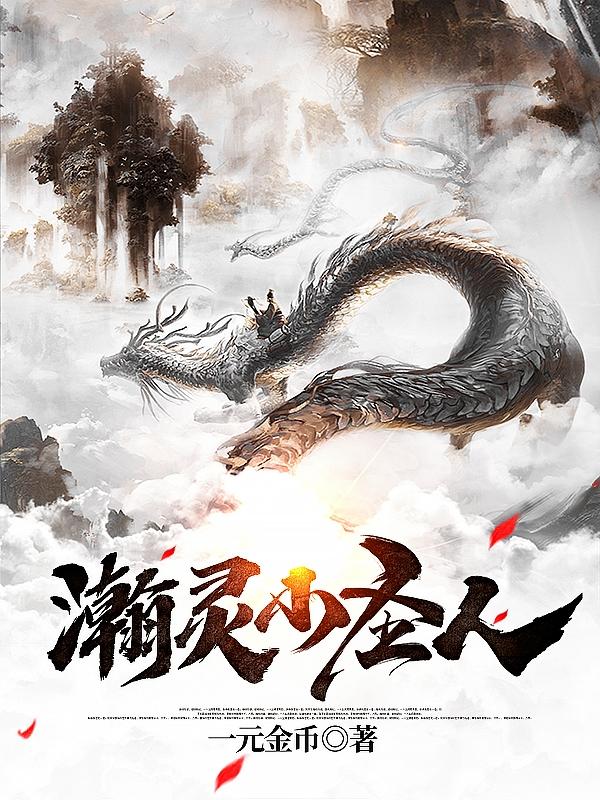 瀚灵小圣人小说阅读