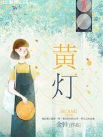 黄灯小说阅读