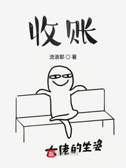 收账小说阅读