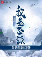 我真的是正派小说阅读