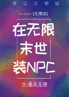 在无限末世装NPC小说阅读