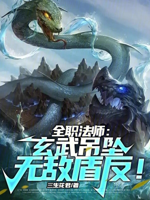 全职法师：玄武吊坠，无敌盾反！小说阅读