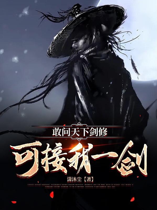 敢问天下剑修，可接我一剑小说阅读