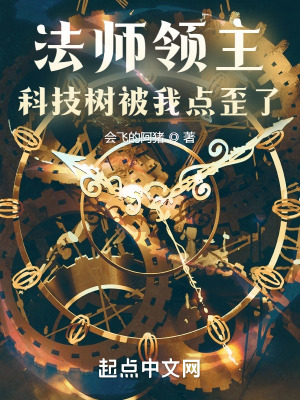 法师领主：科技树被我点歪了小说阅读