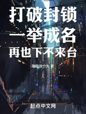 打破封锁一举成名再也下不来台小说阅读