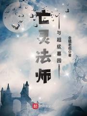 亡灵法师与超级墓园小说阅读