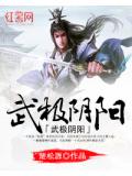 武极阴阳小说阅读
