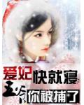 爱妃快就寝：王爷，你被捕了小说阅读
