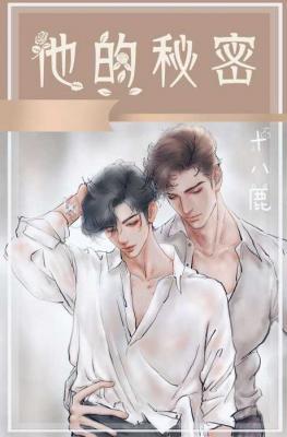 他的秘密小说阅读
