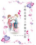冷酷总裁爱上神秘设计师小说阅读