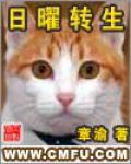 日曜转生小说阅读