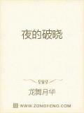 夜的破晓小说阅读