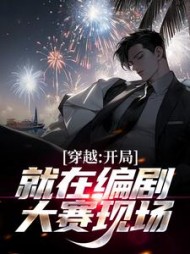 穿越开局就在编剧大赛现场江辰小说阅读