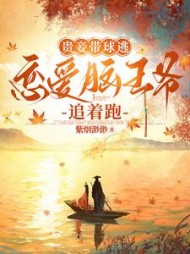 贵妾带球逃，恋爱脑王爷追着跑阅读小说阅读