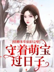结婚多年依旧完璧，守着萌宝过日子小说阅读
