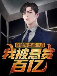 穿越罪恶都市后我被悬赏百亿夜赋安小说阅读