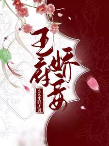 王府娇妾阅读小说阅读