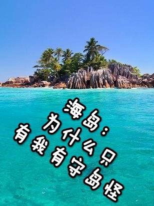 海岛：为什么只有我有守岛怪小说阅读
