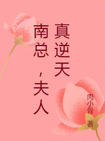 南总，夫人真逆天小说阅读