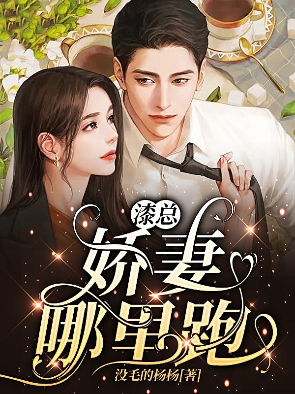 漆少：娇妻哪里跑？小说阅读