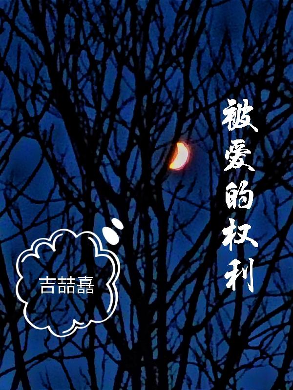 被爱的权利小说阅读