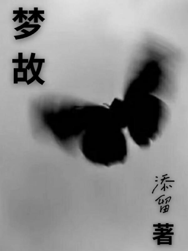 梦故小说阅读