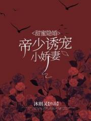 甜蜜隐婚：帝少诱宠小娇妻小说阅读