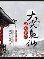 乱天下之大宋枭仙小说阅读