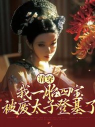 清穿：我一胎四宝，被废太子登基了小说阅读