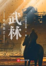 铁与血之武林小说阅读