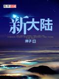 新大陆小说阅读