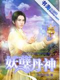 妖孽丹神小说阅读