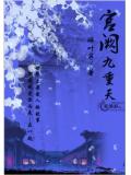 宫阙九重天小说阅读