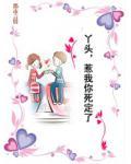丫头，惹我你死定了小说阅读