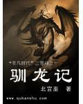 驯龙记小说阅读