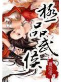 极品武侯小说阅读