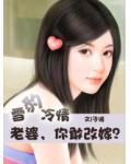 雪豹冷情：老婆，你敢改嫁？小说阅读